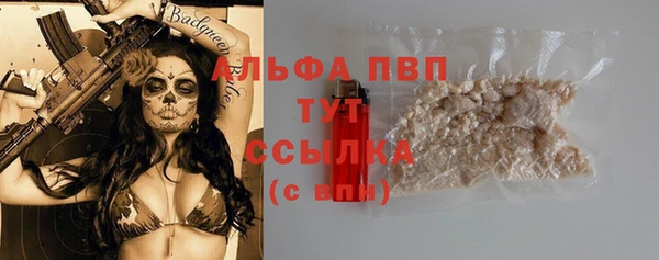 PSILOCYBIN Балабаново
