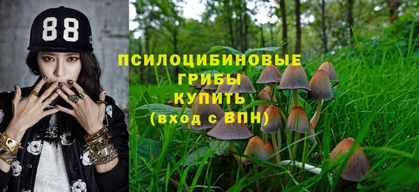 PSILOCYBIN Балабаново