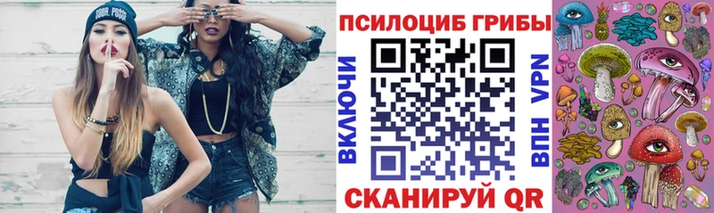 закладки  Белозерск  OMG ССЫЛКА  Галлюциногенные грибы мицелий 